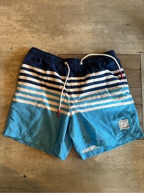 Mens American Eagle Striped Blue Ombre Swim Trunks - M